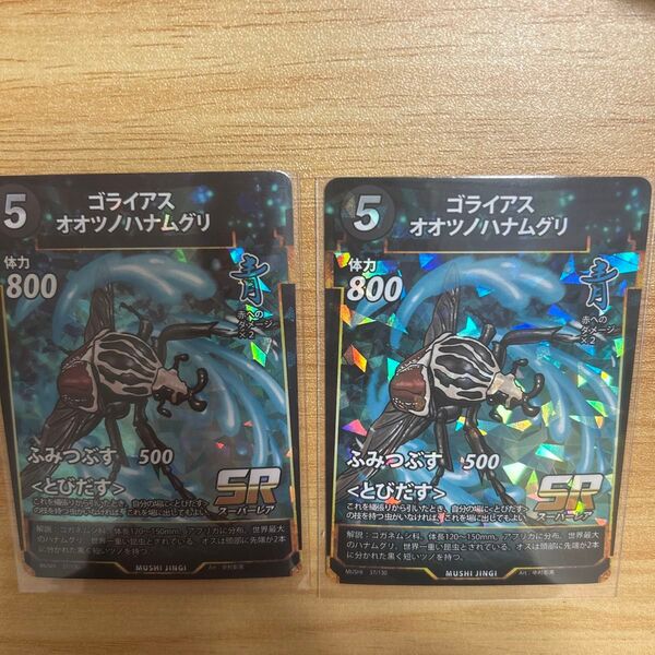 蟲神器 LR ゴライアスオオツノハナムグリ