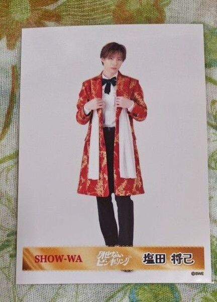 SHOW-WA 塩田将己 外せないピンキーリング 生写真 ランダムプロマイド