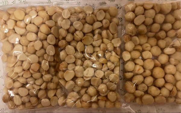 オーストラリア産素焼きマカデミアナッツ200g 3袋