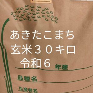 令和6年度 秋田県産あきたこまち 玄米30キロ