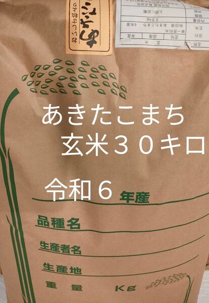 令和6年度 秋田県産あきたこまち 玄米30キロ 新米