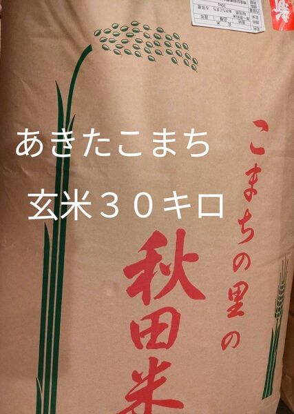 令和6年度 秋田県産あきたこまち 玄米30キロ 新米