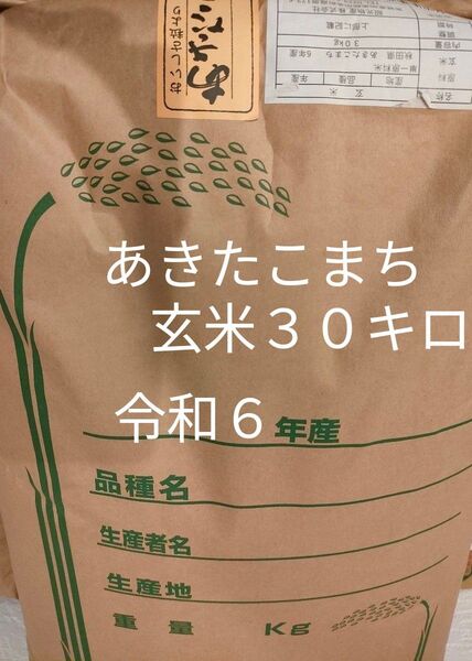 令和6年度 秋田県産あきたこまち 玄米30キロ 新米