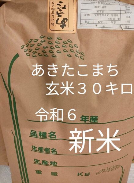 令和6年度 秋田県産あきたこまち 玄米30キロ 新米
