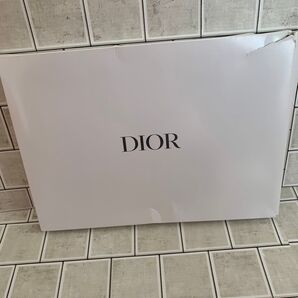 Diorのポーチ。