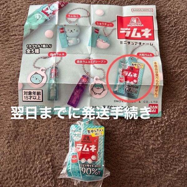 森永ラムネミニチュアチャーム 大粒ラムネ