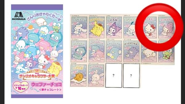 2024サンリオキャラクター大賞 ウェファーチョコ(バラ売り◎)