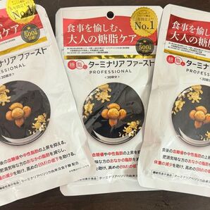 ターミナリアファースト 120粒入り 30回分 3個セット