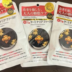 ターミナリアファースト 120粒 3個セット