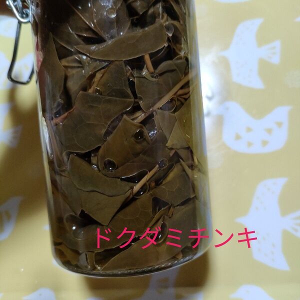 ドクダミ葉チンキ 雑貨