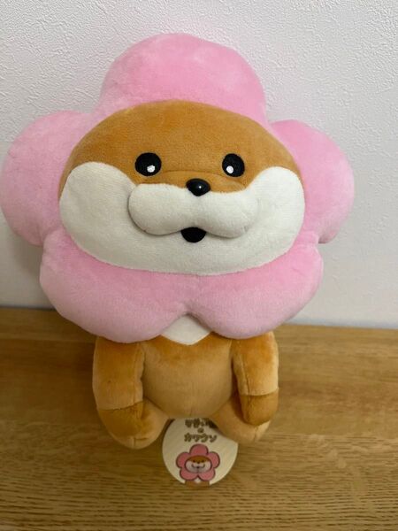 可愛い嘘のカワウソ かぶるんだぬんおすわりBIGぬいぐるみ お花