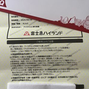 2枚 即日発送 富士急ハイランドフリーパス 有効期限 2025/6/30 富士急ハイランド