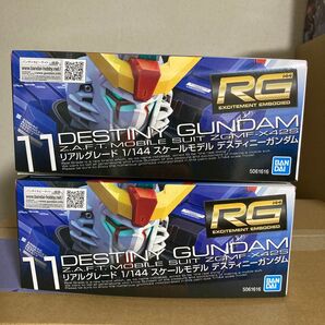 RG デスティニーガンダム