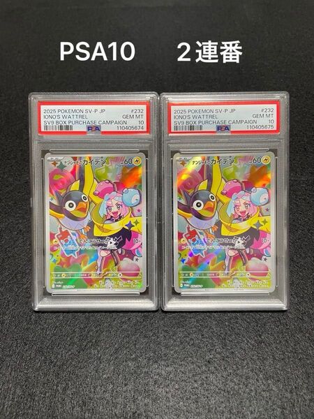 ポケモンカード ナンジャモのカイデンプロモ PSA10 2連番