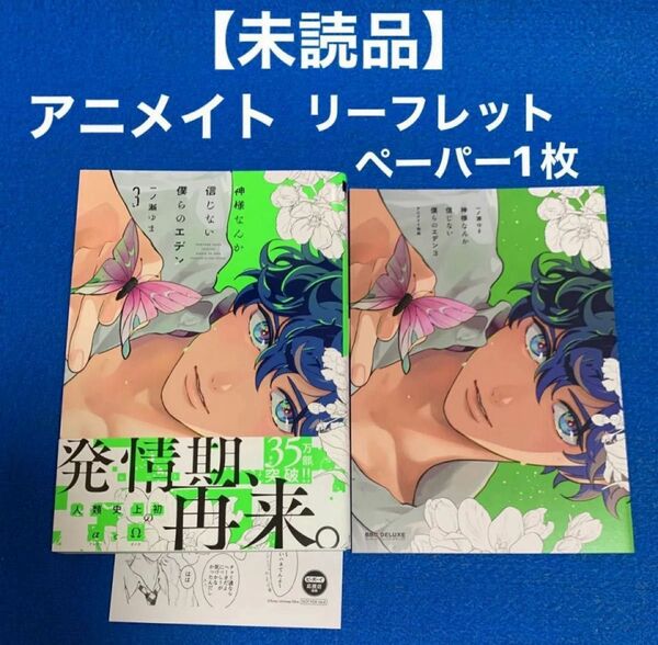 ★未読品★ 神様なんか信じない僕らのエデン3 一ノ瀬ゆま アニメイトリーフレット ペーパー1枚 初期キズ