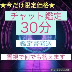 【今だけ価格】チャット霊視鑑定 30分間占い放題 ≪鑑定書後日発送≫
