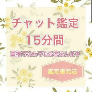 【本日のみ値下げ】15分間 占い放題 チャット鑑定