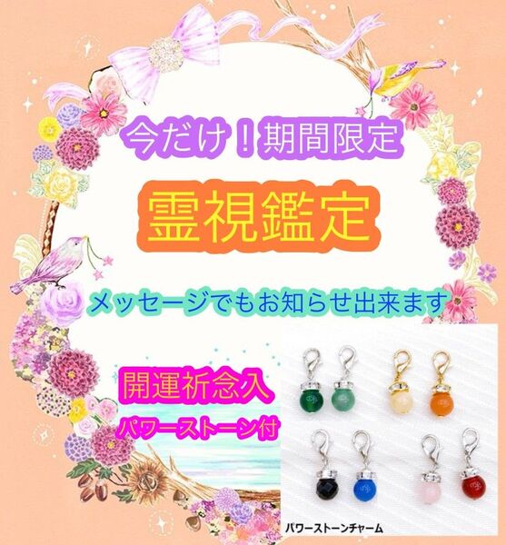 【今だけ価格】霊視鑑定 お悩みひとつ 鑑定書・天然石チャームお一つ付き