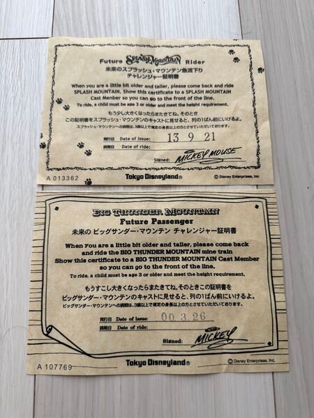 ◆合計2枚 ビッグサンダー スプラッシュ チャレンジャー証明書 無記名 貴重年