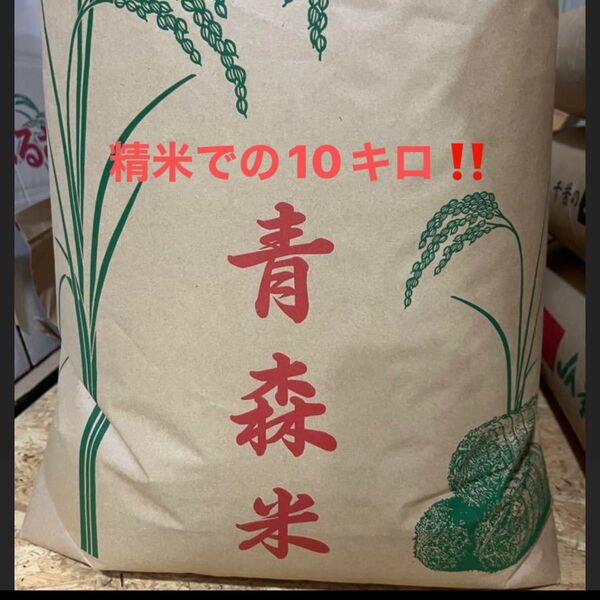 青森県産 はれわたり 10キロ 精米