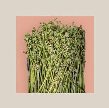 ワラビ 蕨 3キロ 山菜