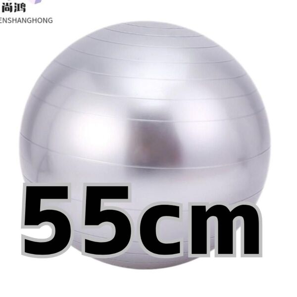 バランスボール ヨガボールフィットネス ダイエット 体幹強化55cm シルバー