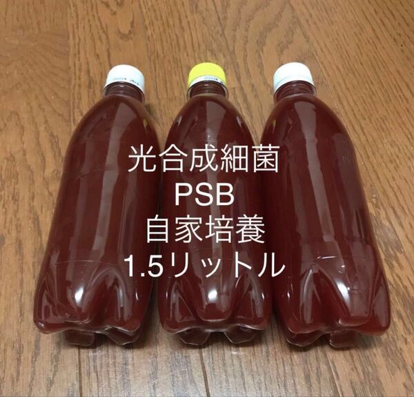 光合成細菌 PSB 1.5リットル(500ml×3)自家培養