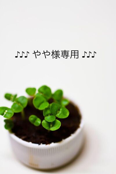 【044】布ライナー 防水無5層5枚+おまかせ柄1枚 ☆ハンドメイド☆