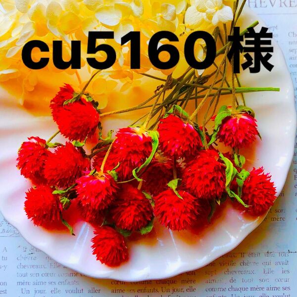cu5160様、サージカルステンレスポストピアス、2セット