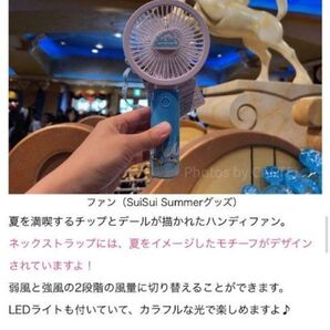 ディズニー スイスイサマー チップ デール 新品 未使用