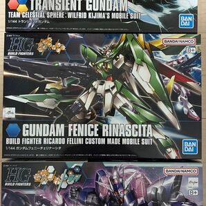 HG トランジェントガンダム,ガンダムフェニーチェリナーシタ,ディナイアルガンダム 3種セット 新品未開封,未組立品