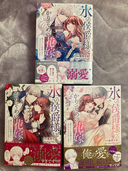 氷の侯爵様とかりそめの花嫁 愛のない王命婚なのに、なぜか溺愛されてます 1、2、3巻 完結セット
