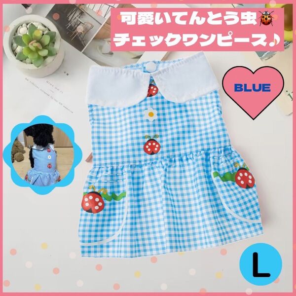 犬服ワンピース【ブルーL】夏 チェック てんとう虫 薄手 小型犬
