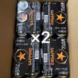サッポロビール黒ラベル 350ml 48本(2ケース)