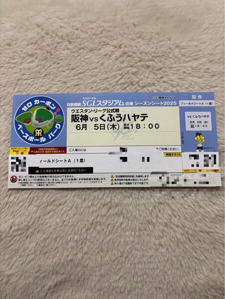 6月5日 阪神タイガース SGLスタジアム 1枚