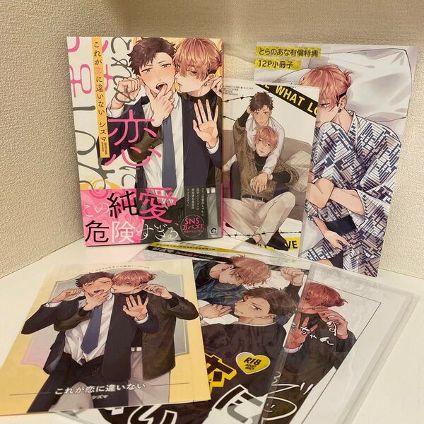 これが恋に違いない とらのあな有償特典 コミコミスタジオ公式同人誌