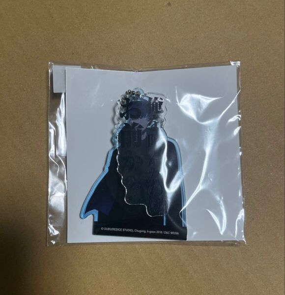 俺だけレベルアップな件 18巻 アニメイト限定 アクリルキーホルダー 水篠旬