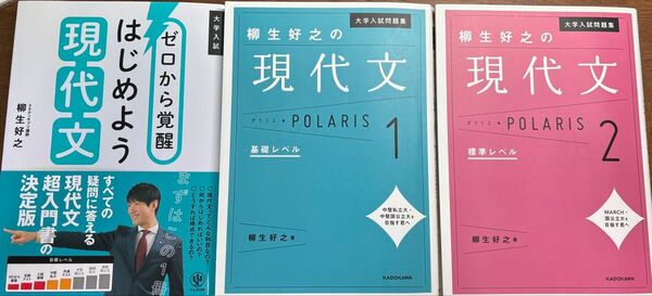 ゼロから覚醒はじめよう現代文 柳生好之の現代文ポラリス1.現代文ポラリス2 大学入試 大学入試問題集 古文アチーブ3