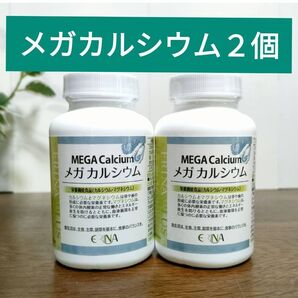 エリナ メガ カルシウム 栄養機能食品(カルシウム マグネシウム) 2個