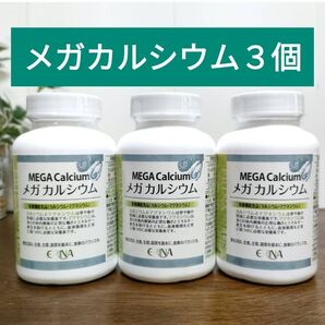 エリナ メガ カルシウム 栄養機能食品(カルシウム マグネシウム) 3個