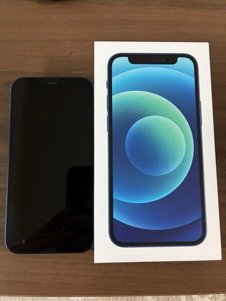 iPhone12mini 256GB ブルー