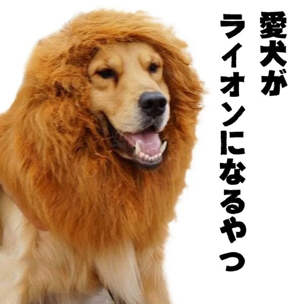 セール中! 犬 ライオン ウィッグ キャップ カツラ 帽子 大型犬 コスプレ コスチューム ハロウィン グッズ おもしろ