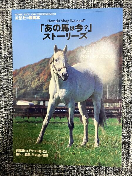 レア 「あの馬は今?」ストーリーズ 引退した名馬、その後の物語 流星社の競馬本 流星社 競走馬 競馬 ウマ 引退後 当時モノ 古本