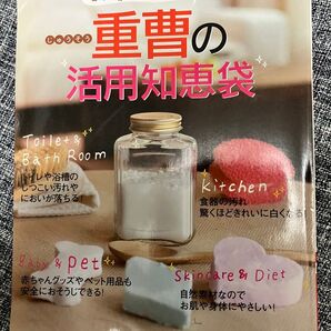 重曹の活用知恵袋 自然素材でお家ピカピカ 裏ワザ 掃除 清掃 送料込 状態良好