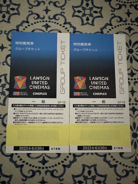 ユナイテッドシネマ 鑑賞券 映画チケット 2枚セット 6月30日まで