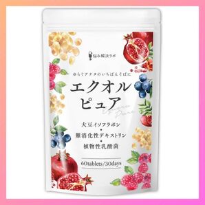 エクオール乳酸菌 大豆イソフラボン 42mg エクオルピュア サプリメント