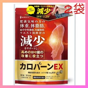 【新品未開封】カロバーンEX 60粒 ダイエットサプリ 2袋