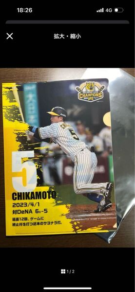 阪神タイガース 近本光司 クリアファイル 2023.4.1