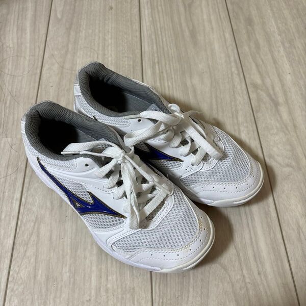 体育館シューズ 高校 22.5 白 mizuno 部活