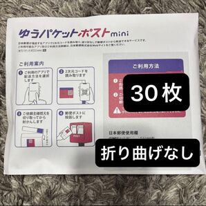 ゆうパケットポストmini 専用封筒 30枚 封筒 ゆうパケットポストミニ ゆうパケットmini